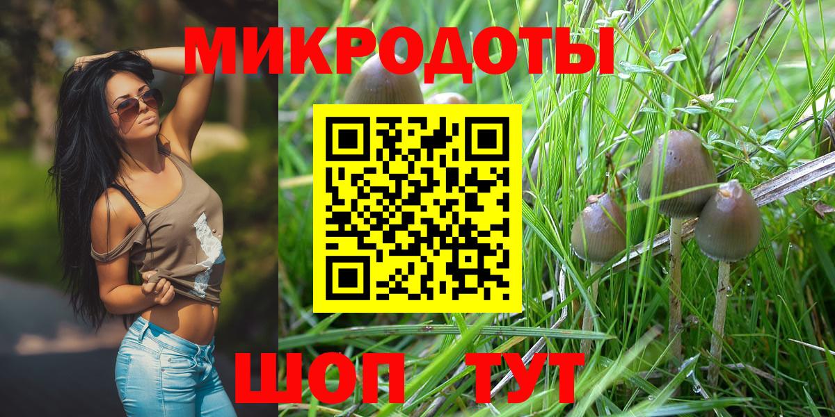 Шахты  Галлюциногенные грибы прущие грибы  Псилоцибиновые грибы Psilocybe  Вход с VPN 